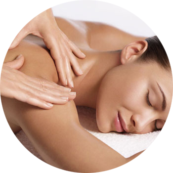 The Lymphatic System