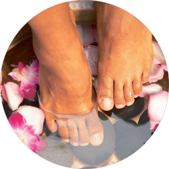 The Lymphatic System